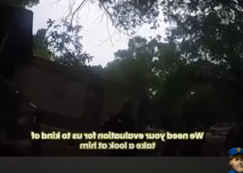 H0001041 Toddler Rescued Mom Who Shouldn Have Kids part2