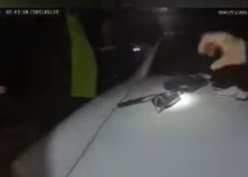 H0001034 When Corrupt Officers Realize Theyve Been Caught part2