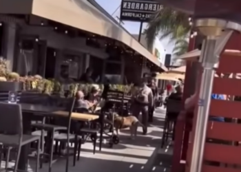 H0001033 Cop Quickly REALIZED He Detained Wrong Guy part2