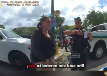 H0001008_Toddler Left Alone In Car While Mom Goes Shoplifti