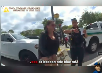 H0001008_Toddler Left Alone In Car While Mom Goes Shoplifti