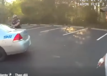 H0001027_Year Old Son Gives Mom up After Hit Run