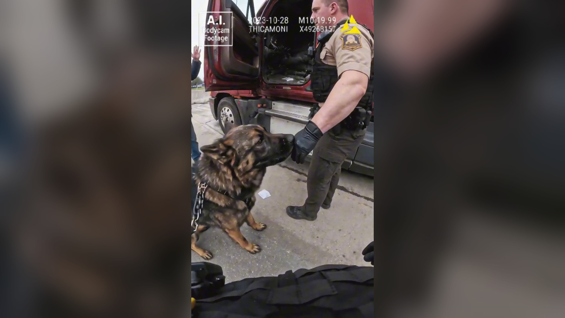 H0001007_85K views 1.4K reactions K9 Found Bag But Cab Camera Found Cop #bodycam #instantkarma #plottwist #justice #cops Thicamo