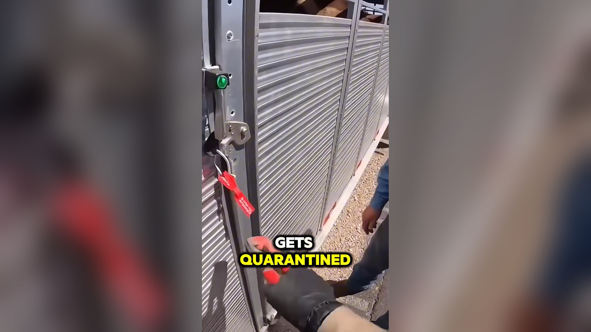 H0001004_116K views 1.4K reactions What Happens When A Deputy Snaps An 80k Red Tag #bodycam #instantkarma #plottwist #justice #c